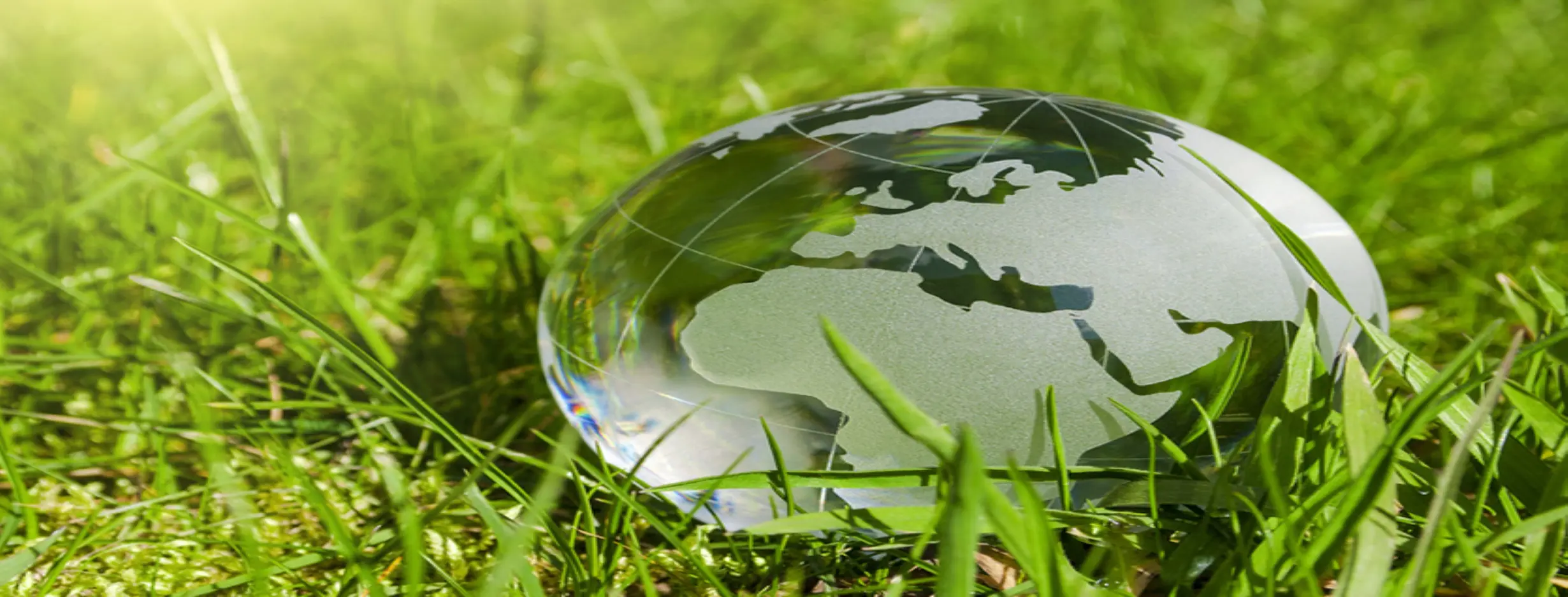 Image for Clean Environment